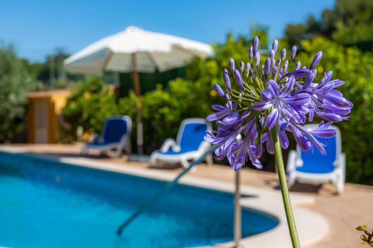 S'Oratge Villa Can Picafort  Dış mekan fotoğraf